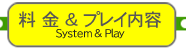 System & Play